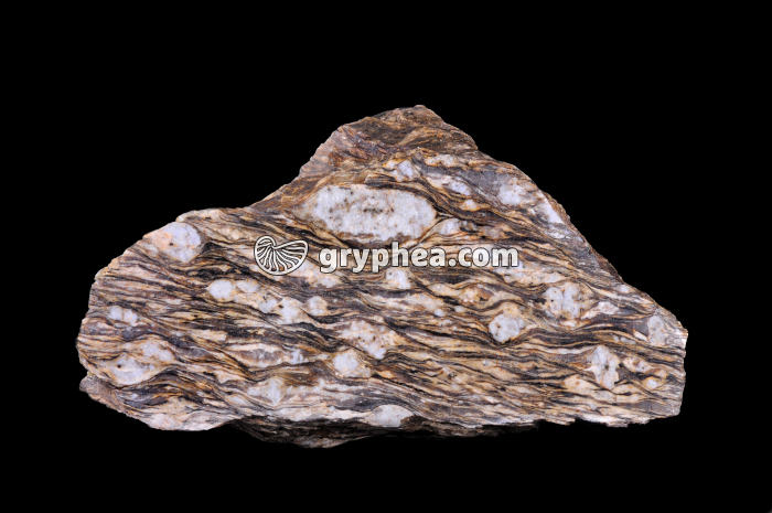 Gneiss oeillé - surface polie - échantillon (taille 30 cm) - gryphea.com